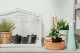 Mini Glas Gewächshäuser – ein perfektes Werkzeug zum Anbau von Pflanzen und Gemüse in Ihrer Küche